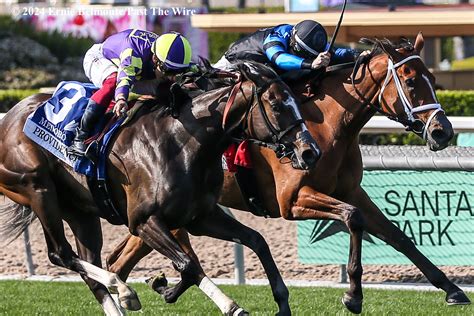 Dramatic Horse Racing Gambling Addiction .